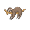 Funny sloth energy efficient