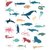 Biologie marine d’alphabet d’animaux marins