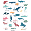 Marine animals alphabet marine biology