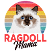 Ragdoll Cat