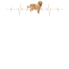 GoldenRetriever