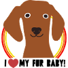 Dog lover