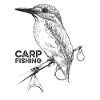 Carpes pêche