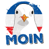 Möwen Moin
