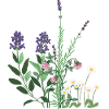 Kräutergarten