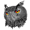 Uhu/Bubo Bubo/Owl