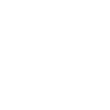 IONIQ FIVE Statement