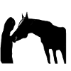 Pferd