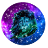 Galaxy Lion with Galaxy Design