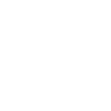 Crazy Horse Lady