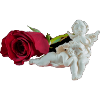 Rose et ange