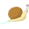 Snail with snail house