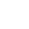 Jiu Jitsu brésilien (BJJ) Traditionnel
