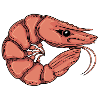 Shrimp || Annie.
