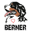 Bernese mountain dog
