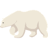 polar bear