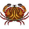 Crab