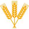 Garb Wheat
