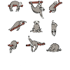 Sloth Yoga Yoga Coach Gift