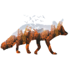 Fuchs Wald Naturschutz