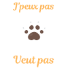 Race de chat ragdoll