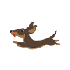 Badger dog