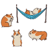 Guinea pig