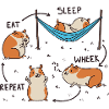 Guinea pig