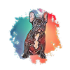 Bulldog français