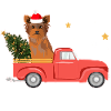 Pick-up Yorkie Christmas Tree