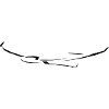 Planeur Planeur Planeur Pilote