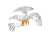 Guépard Avec la lune