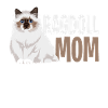 Ragdoll chat maman amant