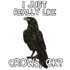 I Just Really Like Crows