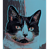 Chat psychodelic