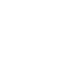 Dino Dinosaur
