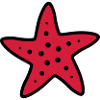 Starfish Star Ocean Sea Creatures