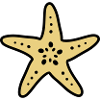 Starfish Ocean Sea Beach Diving