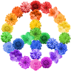 Fleurs Peace Flowerpower