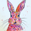 Happy Rabbit