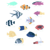 Saltwater aquarium tropical fish
