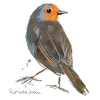 Rotkehlchen