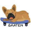 Skating - French Bulldog