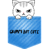 Cat grumpy but cute