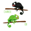 Chameleoff Chameleon Saying