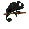 Chameleon camouflages funny chameleons