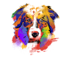Australske hyrdehunde Art Dog Training