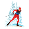 Ski de fond
