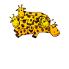 Giraffes