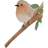 Rotkehlchen